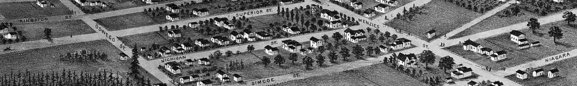 vicbird1878 vicbird1878
